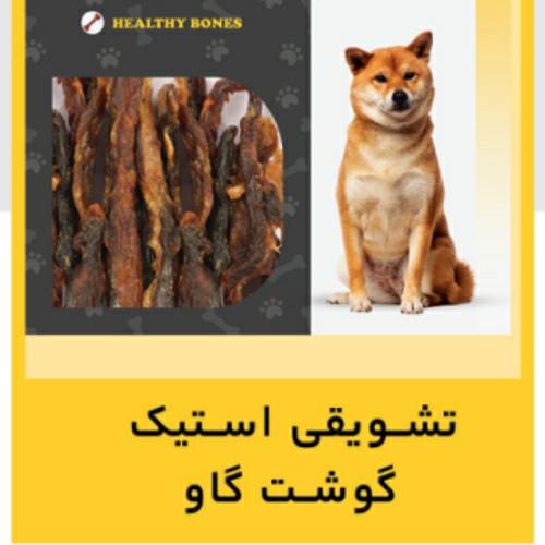 تشويقي سگ – استيک نرم گاو 100g تشويقي سگ – استيک نرم گاو 100g