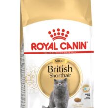 غذا خشک رويال کنين گربه بريتيش بلو 2kg