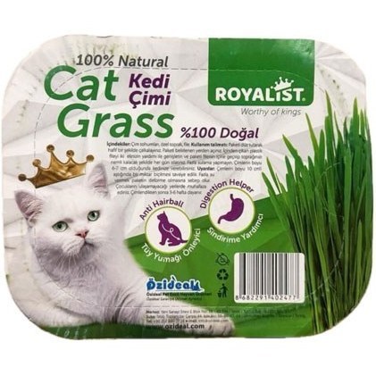 علف روياليست cat Grass علف روياليست cat Grass