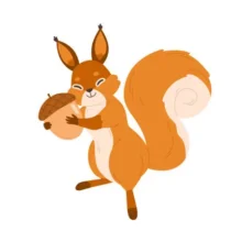 جوندگان